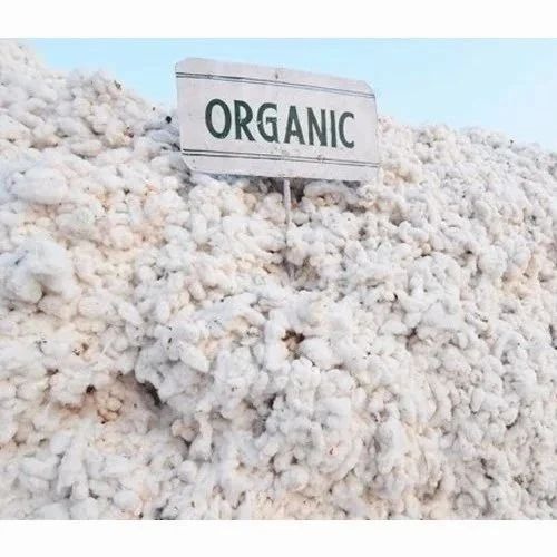 Organic Cotton - 100% Pure Cotton White Eco-Friendly Shrink-Resistant Raw Pattern Industrial Use