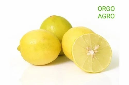 Organic Lemon