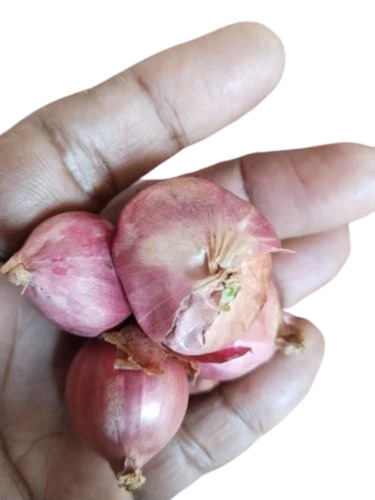 Sambar Onion - 10 Kg Red Color A Grade Quality | Fresh Preserve Chopped Form Common Shape Cooked Style