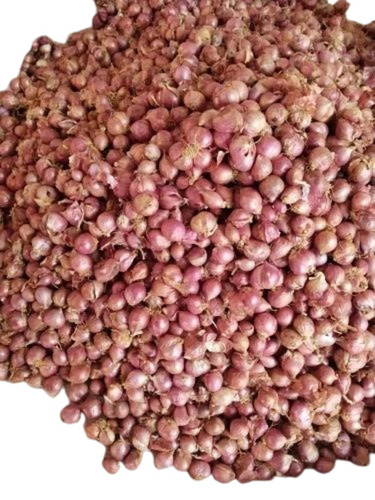 Shallots Onion - 5 Kg Net Bag, A Grade Fresh Quality, Chopped Common Shape, Cooked Style