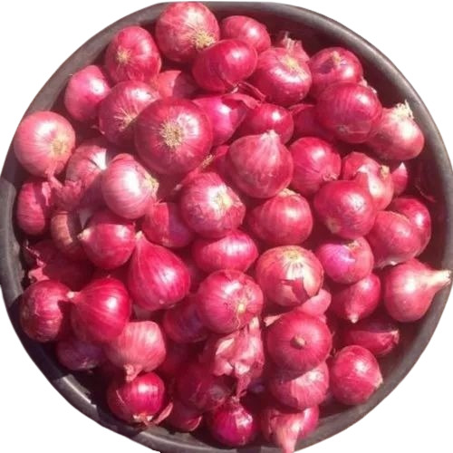 Bombay Red Onion - Chopped, 5 Kg, Red Mesh or Jute Bag | Fresh, Common Shape, Shelf Life: 40 Days, Cooked Style