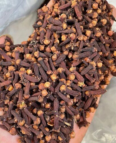 Cloves Seeds - Color: Black