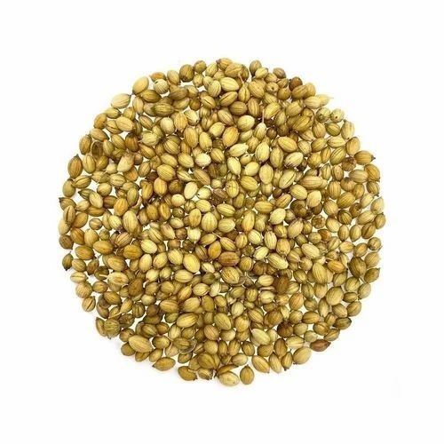 Fresh Organic Coriander Seeds - 10 Kg Dried, Brown Color, Organic Cultivation, Grade A, 99% Purity, 5% Moisture, 3-Year Shelf Life | Ideal for Cooking