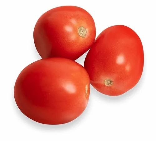 Fresh Red Tomato