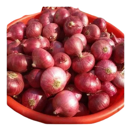 Nasik Red Onion - Red Mesh & Jute Bags, 5 Kg & 25 Kg Sizes | Fresh Chopped, Common Shape, 40 Days Shelf Life, Cooked Style