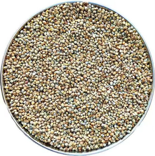 Natural Pearl Millet - Color: Organic