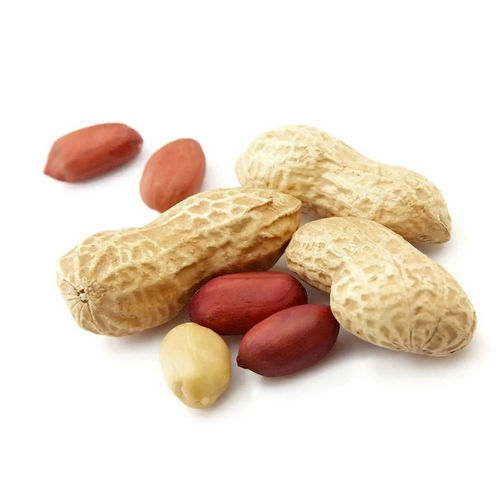 Peanut Kernel - Color: Brown