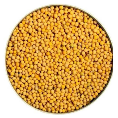 Yellow Mustard Seeds - Admixture (%): 30