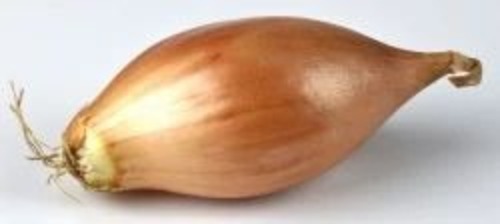 A Grade Shallots Onion - 50 Kg Net Bag, Fresh Chopped Style, Common Shape, Ideal for Food Packaging