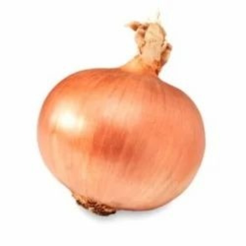 Brown Onion - 50 Kg B Grade Chopped, Fresh Preserved in Net Bag | Common Shape, Cooked Style for Food Applications