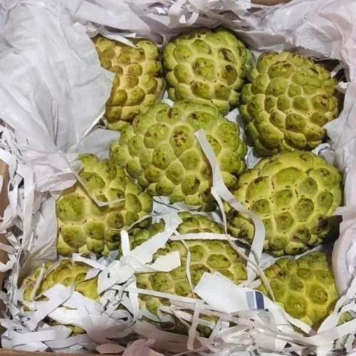 Custard Apple Fruits - Organic A Grade, Fresh Green Whole, Round Shape, Sweet Taste