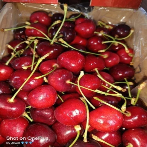 Fresh Cherry