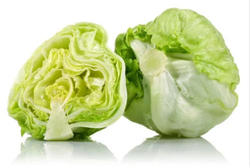 Fresh Lettuce Iceberg - Moisture (%): 100%