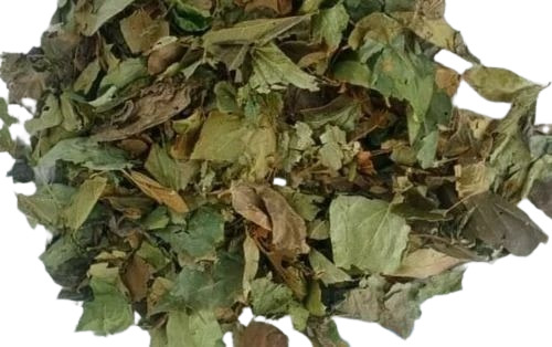 Herbal Dry Leaves