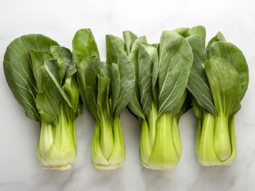 Fresh Bok Choy