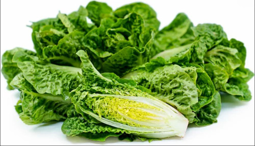 Romaine Lettuce - Moisture (%): 100%