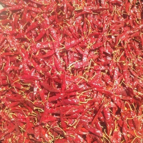 Spicy Red Chilli - Organic Dried Red Chilli, 25 kg Weight | Highly Pure, Grade A, Raw Processing, Cool & Dry Storage, 12 Months Shelf Life