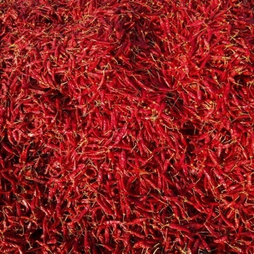 Stemless Dry Chilli - Dried Red Chilli 30g Grade A Raw Processing Dry Red Color Perfect for Cooking Store in Cool and Dry Place