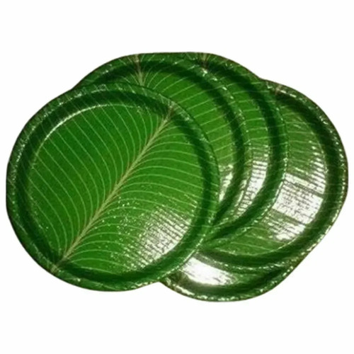 Green Disposable Plate - Application: Yes