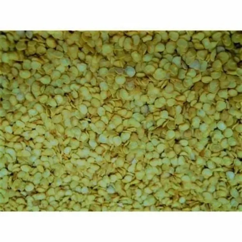 Green Chilli Seeds - Color: Yellow