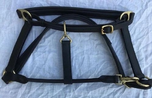 Horse Nylon Halter - Full, Cob, Pony Sizes | Waterproof, Black, Ideal for English Saddle Riding