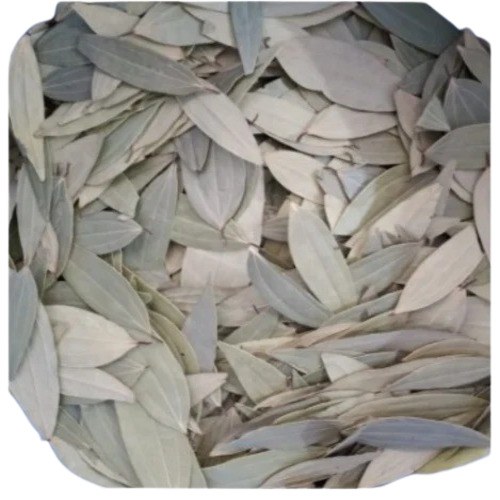 Dry Bay Leaf - Raw Whole Leaves, Grade A Green Color, Dried for Culinary Use, 12 Months Shelf Life