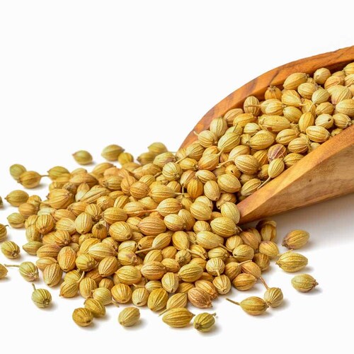 Coriander Seeds - Color: Brown