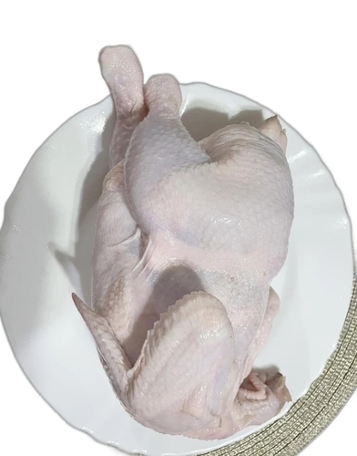 Frozen Whole Tender Chicken - Skin-On, Versatile Cuts , Fresh Quality with Natural Flavor and 6-Month Shelf Life
