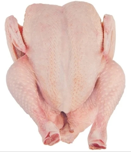 Frozen Whole Chicken - Fully Frozen, Whole Bird | Versatile Cuts, Natural Flavor, Skin-On, Fresh Quality, Long Shelf-Life - Ready to Cook