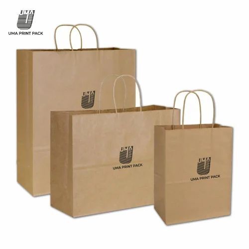 Brown Paper Carry Bag - 2 Kg Capacity, 100 GSM | Biodegradable, Moisture Proof, Recyclable, Twisted Paper Handles, Printed Style