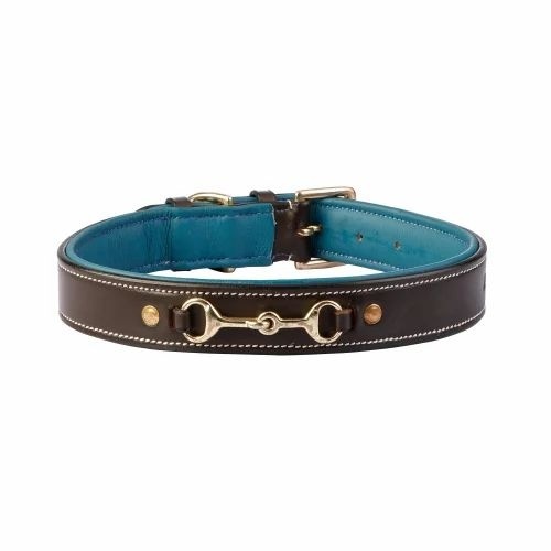 Padded Dog Collar - Genuine Leather Medium Size Stylish Blue Color | Eco-Friendly Soft Padded Interior Adjustable for Perfect Fit