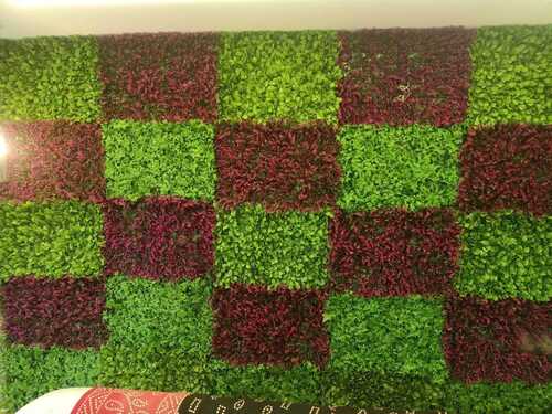 Artificial Green Wall - Color: Multi Color