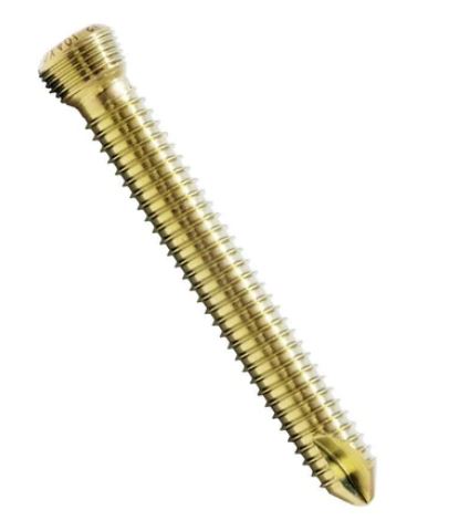 Titanium 2.4 Mm Locking Screw Craniomaxillofacial - Recommended For: [