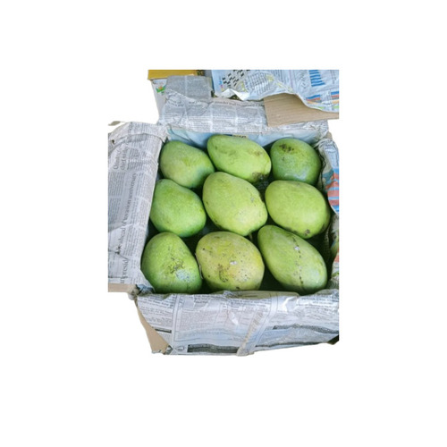 Fresh Mango - Whole Fruit Delicious Sweet Taste Green Color | 100% Purity Common Cultivation Type Direct Consumption