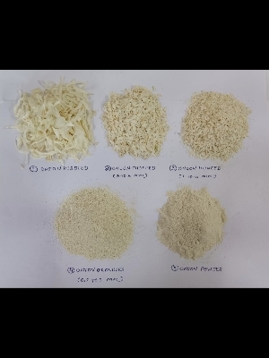 dehydrated white onion