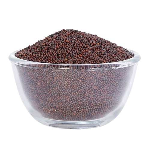 Dried Mustard Seed - Cultivation Type: .