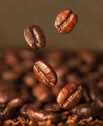 coffee seeds