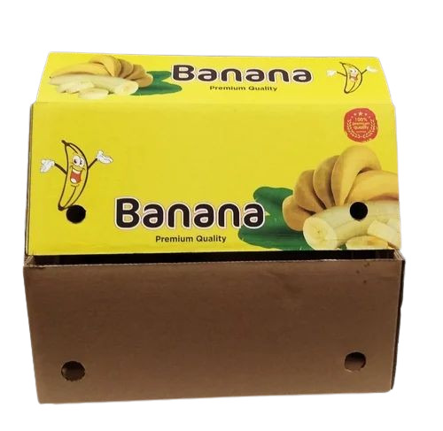 Banana Packaging Box - Biodegradable Rectangular Paper Material Type A Flute (1/4 Thickness) | Eco-Friendly Solution for Safe Fruit Transport