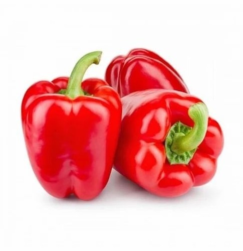 Colour Capsicum - 5 Kg Carton, Red Color, Fresh Quality, Chopped Style, Common Shape, Canned