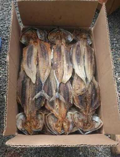 Dry Frozen Fish - Shape: Piece