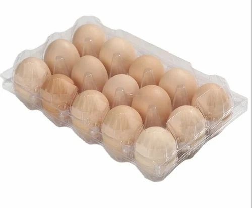 Egg Packing Tray - Plastic Material, 15 Egg Size, Transparent Color | 15 Eggs Clamshell Blister Feature, Customized Design