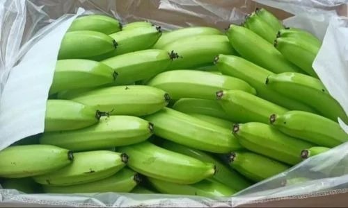 Fresh Green Bananas - 1 kg A Grade Crate Pack | 7 Days Shelf Life, Whole Part, Common Shape, Green Color