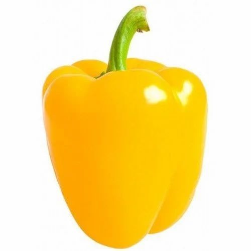 Fresh Yellow Capsicum - Quantity: 20 Kg, Packaging: Carton, Gunny Bag, Plastic Bag | Features: Chopped, Common Shape, Cooked Style
