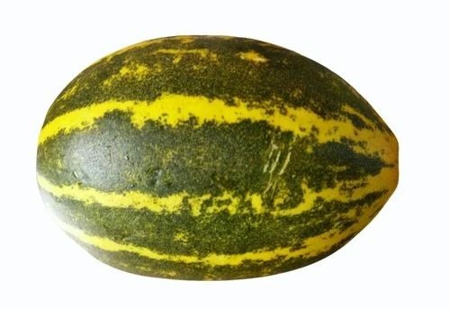 Fresh Yellow Cucumber