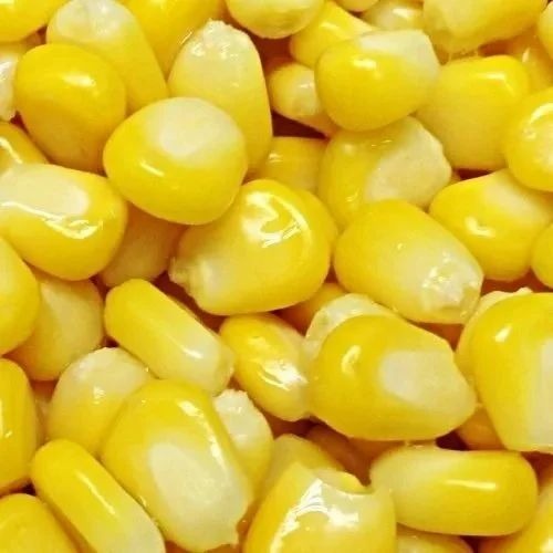 Frozen Sweet Corn - 1 Kg A Grade Quality, Golden Yellow Color | Steamed Style, Freshly Packaged in Net Bag
