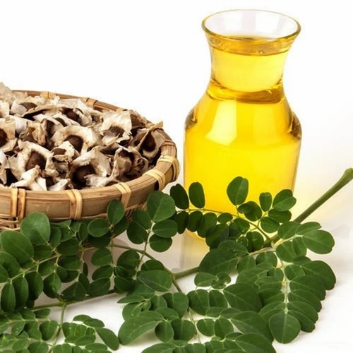 Moringa Oleifera Oil