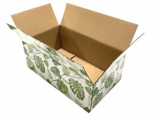Printed Corrugated Box - 2 Ply, <5 Kg Weight Capacity, Multi-color, Die Cut Food Packaging, Rectangle Design For Apparel, Electronics & Home Appliances