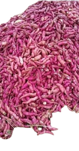 Red Sweet Potato - Organic Pesticide Free White Color Steamed Processing Common Shape Shelf Life: 10 Days | Cooked Style Packaged in Gunny Bag