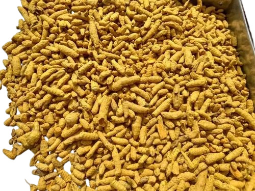 Turmeric Finger - Cardamom 5 mm Size, Loose Form in 42 kg Jute Bag | Dried Haldi, Grade A, Yellow Color, Store in Cool and Dry Place