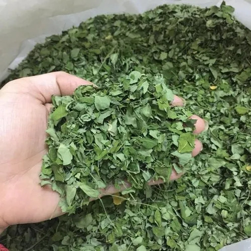 Moringa Dry Leafs - Grade: Yes